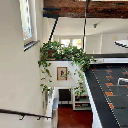 Apartamento Casa - Stella *